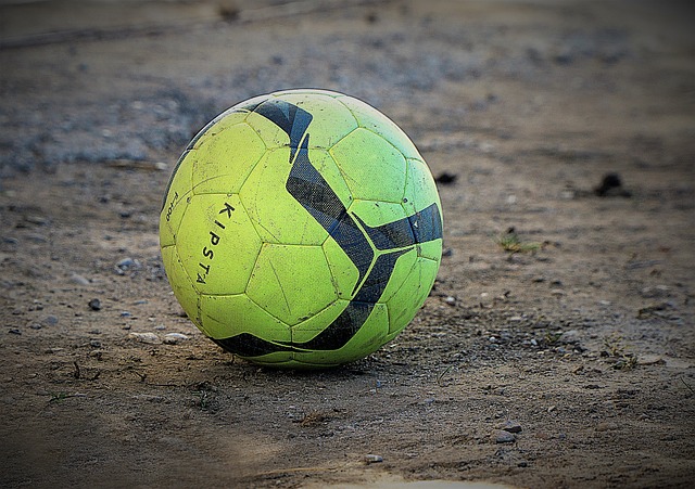 提供了坚实 提供了坚实