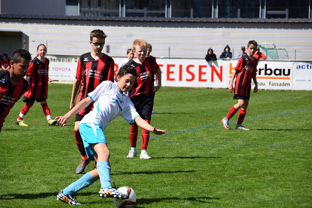 職業籃球聯 職業籃球聯