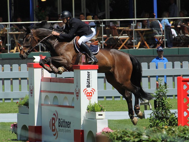 审判结果 审判结果