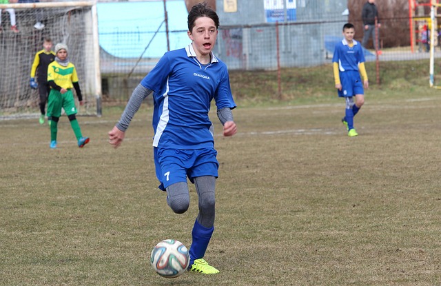 在应对风格 在应对风格